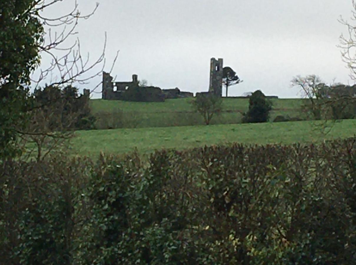 Grangegeeth Inn Slane Kültér fotó